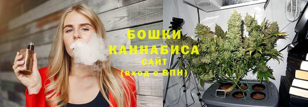 ALPHA PVP Белокуриха