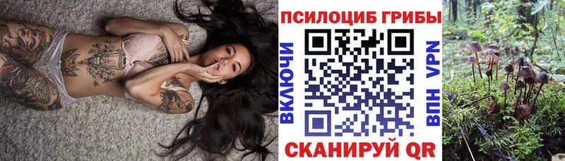 Псилоцибиновые грибы Psilocybe Назарово